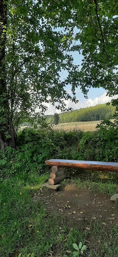 Ferienwohnung Im Gruenen Muldental Langenbach  外观 照片