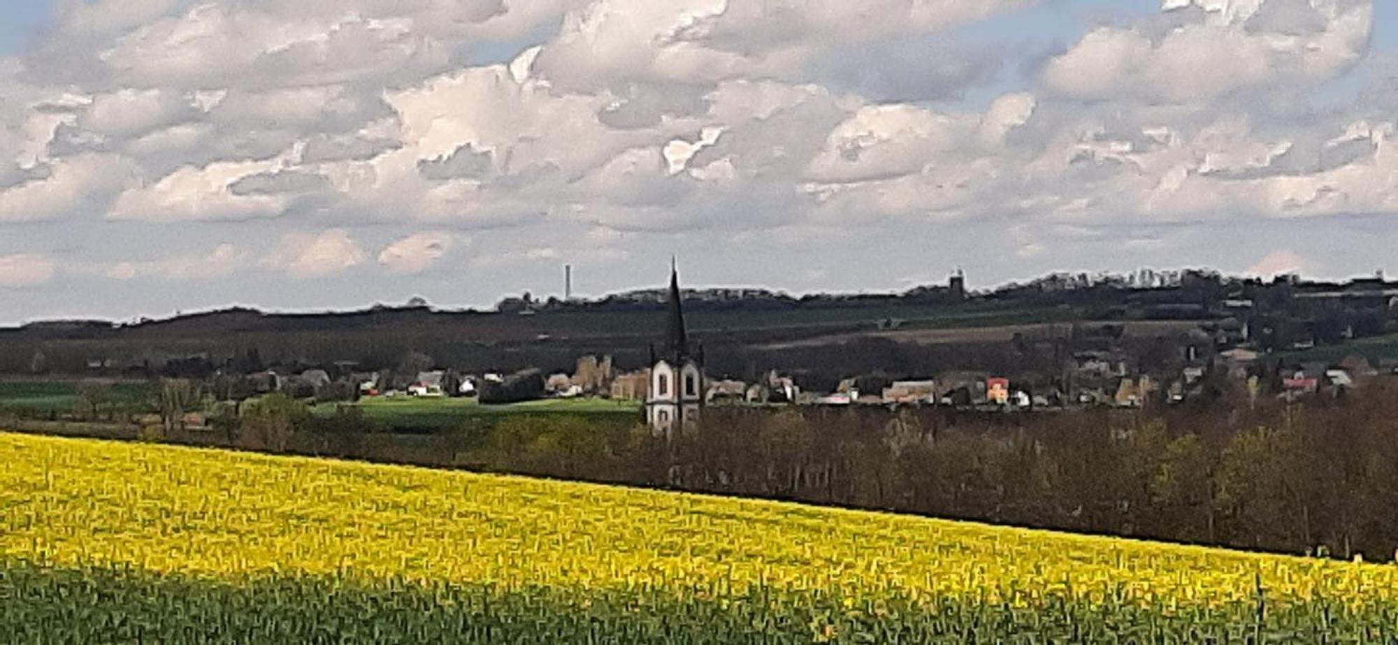 Ferienwohnung Im Gruenen Muldental Langenbach  外观 照片